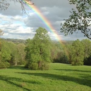 Meet your Posher, Bonnie